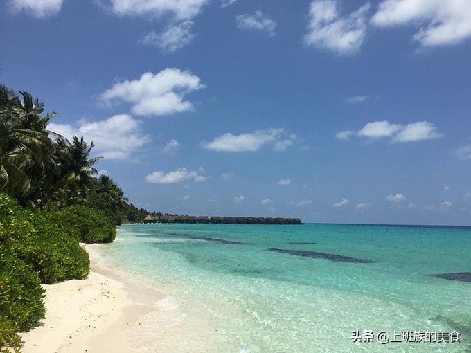 第四次来马尔代夫的感受,马尔代夫之行完整版视频