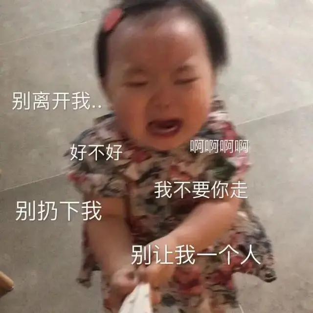 表情包作业多,作业一点都不多表情包