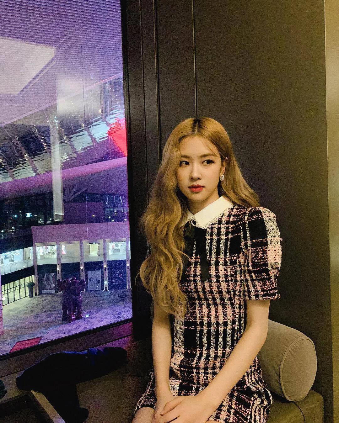 澳洲野玫瑰怎么来的,澳洲野玫瑰蓝玫瑰