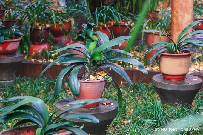 成都本地人去的最好吃的美食,中国姑娘吃成都美食