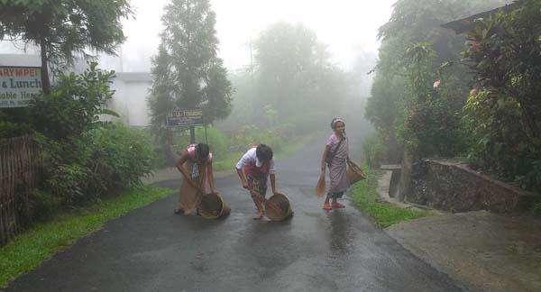 印度公认最干净的村,印度最干净的村落