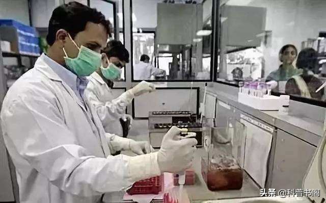 印度有名的神药,印度喜马拉雅神药