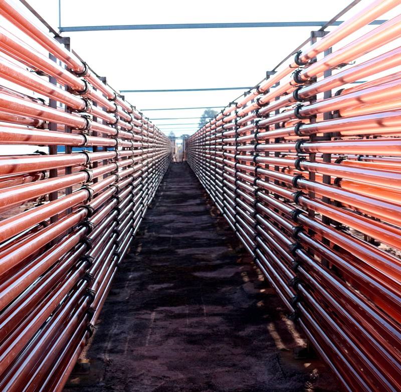 云南打造世界一流“绿色食品牌”，楚雄爱尔发进“20佳”榜单