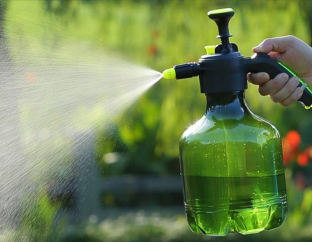 植物成了“光杆司令”，别轻言放弃，此法或可挽救