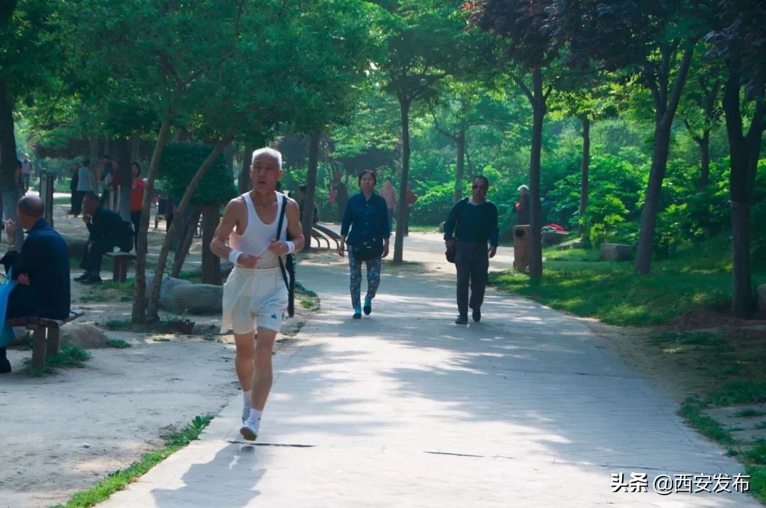 西安教育发布,平安西安最新发布