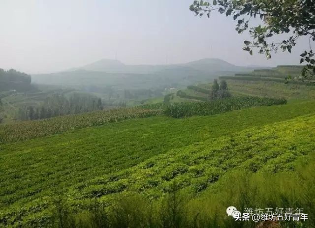 西行纪的最后一集,西行纪最后片段