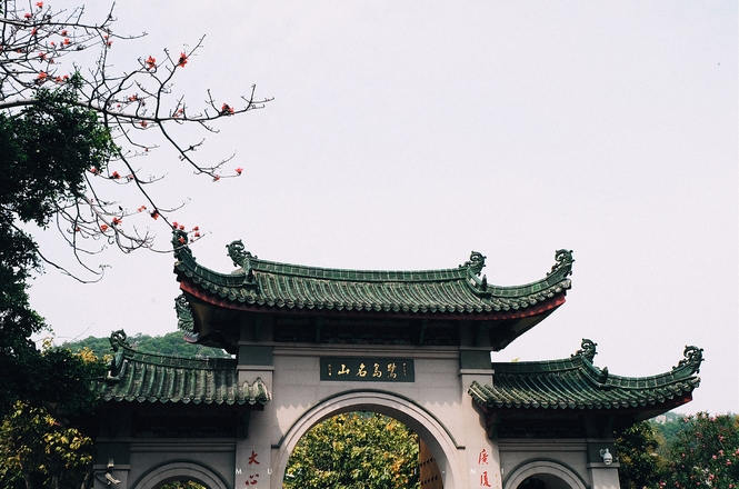 海上花园鹭岛行,海上花园鹭岛城市