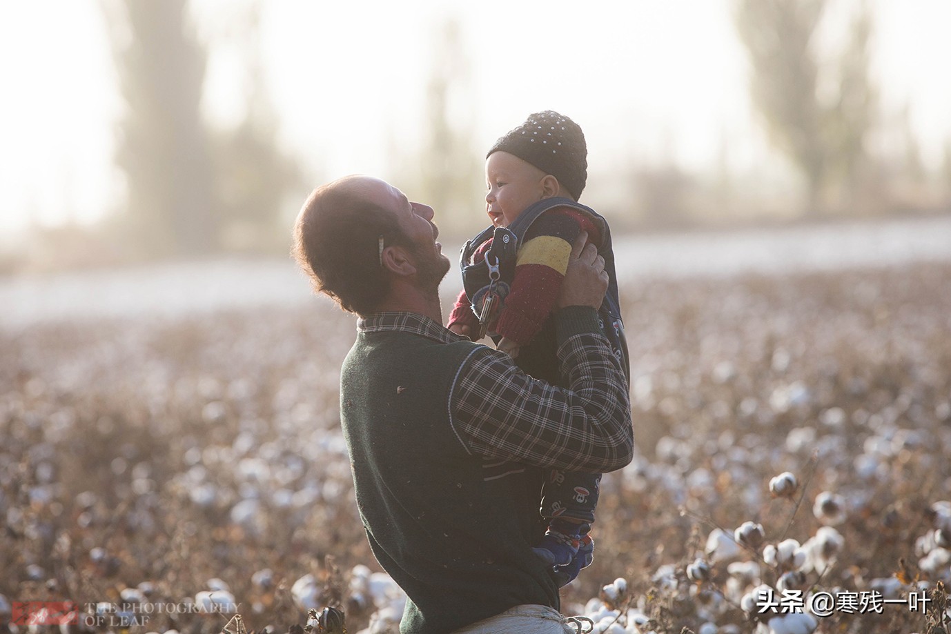 新疆采棉花工一个月挣多少钱,在新疆采棉花一天能赚多少钱
