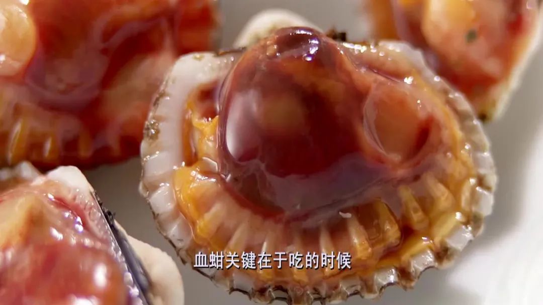 蛤蜊蚶子蛏子区别,蛏子海螺牡蛎蛤蜊