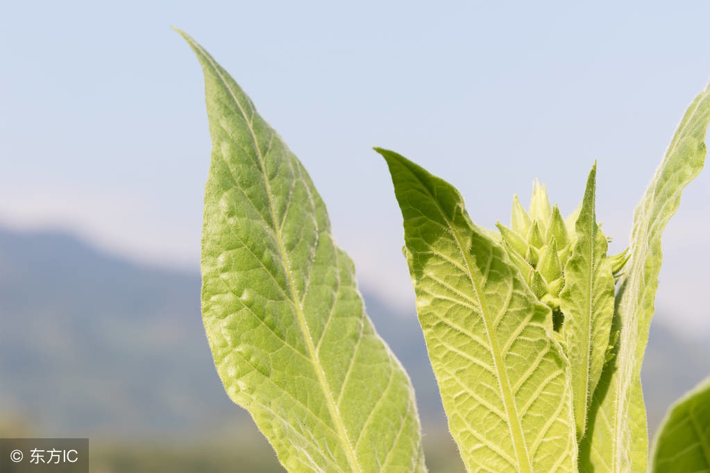 大学读什么专业能最直接当官,哪个专业毕业最赚钱