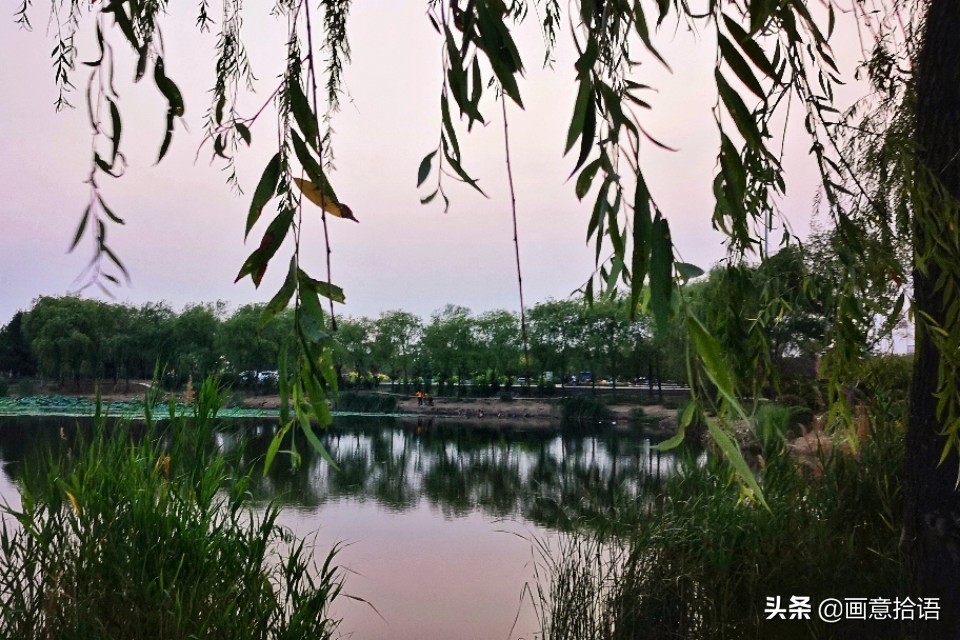 诗词鉴赏｜亭廊秀色觅荷香，月夜苍穹映碧光