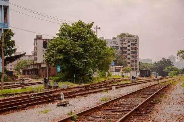 有一种钱买不到的回忆，叫做老广州