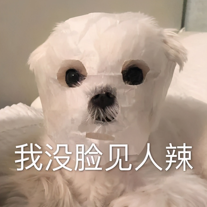 武学宗师陈鹤皋,疯癫的大师陈鹤皋