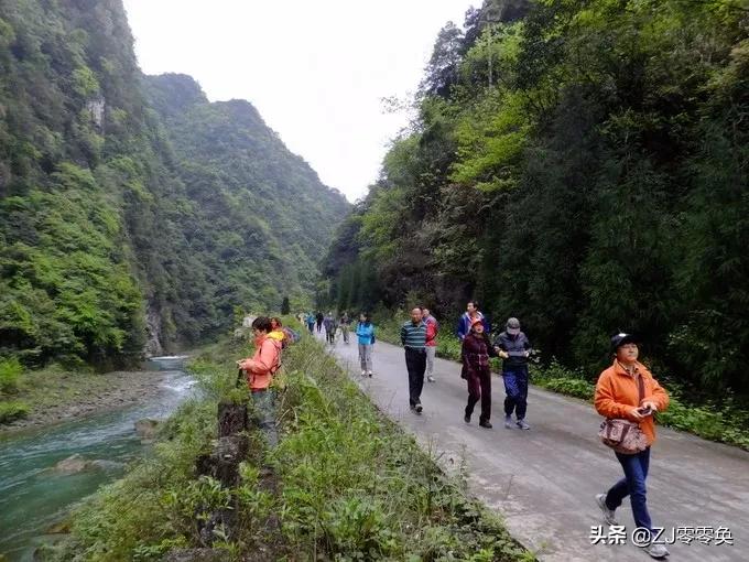 成都周边爬山的好地方人少免费,大年初一成都周边登山游一日游
