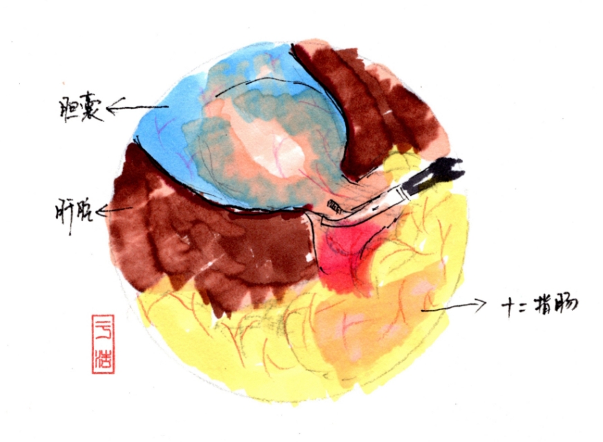 舍利子是什么意思,舍利子背后的故事