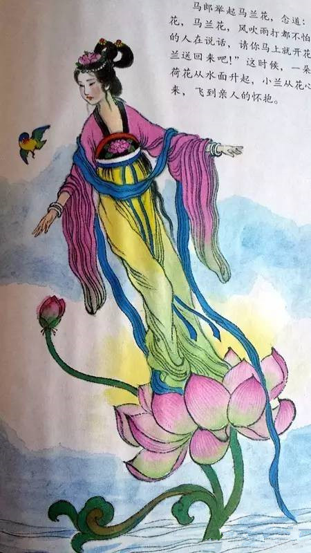 马兰花童年,马兰花童年故事