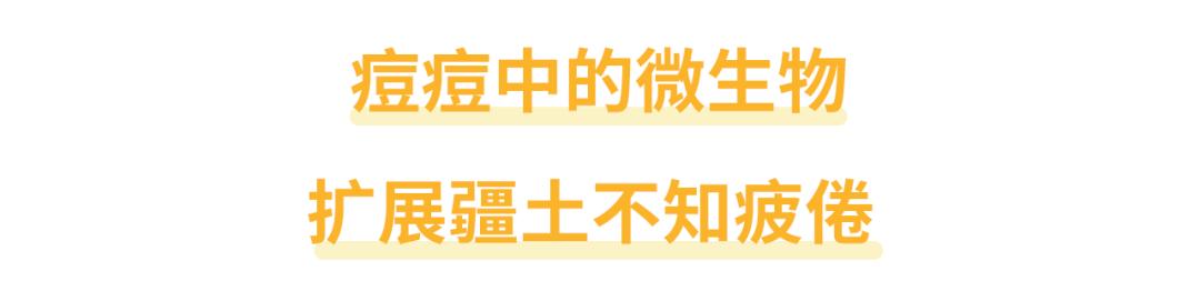 绝对不能挤的痘痘一般长什么样,哪里的痘痘不能挤