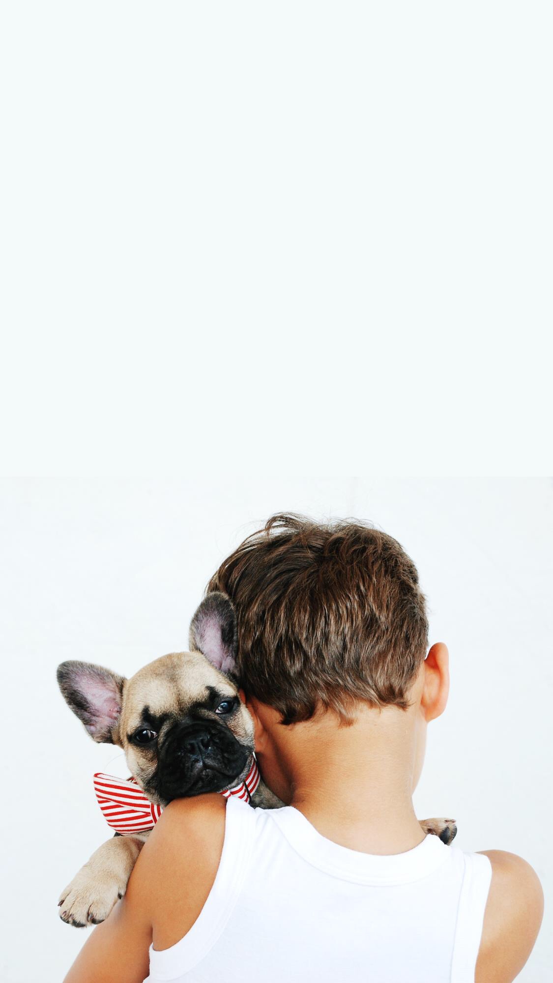 可爱宠物狗高清壁纸,人和狗的高清壁纸