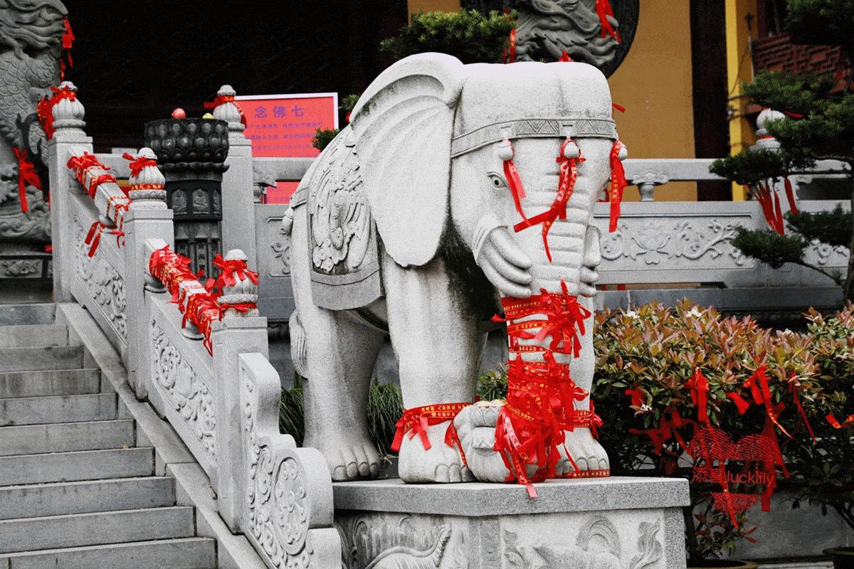 高铁出游攻略江浙沪,高铁直达的周末游