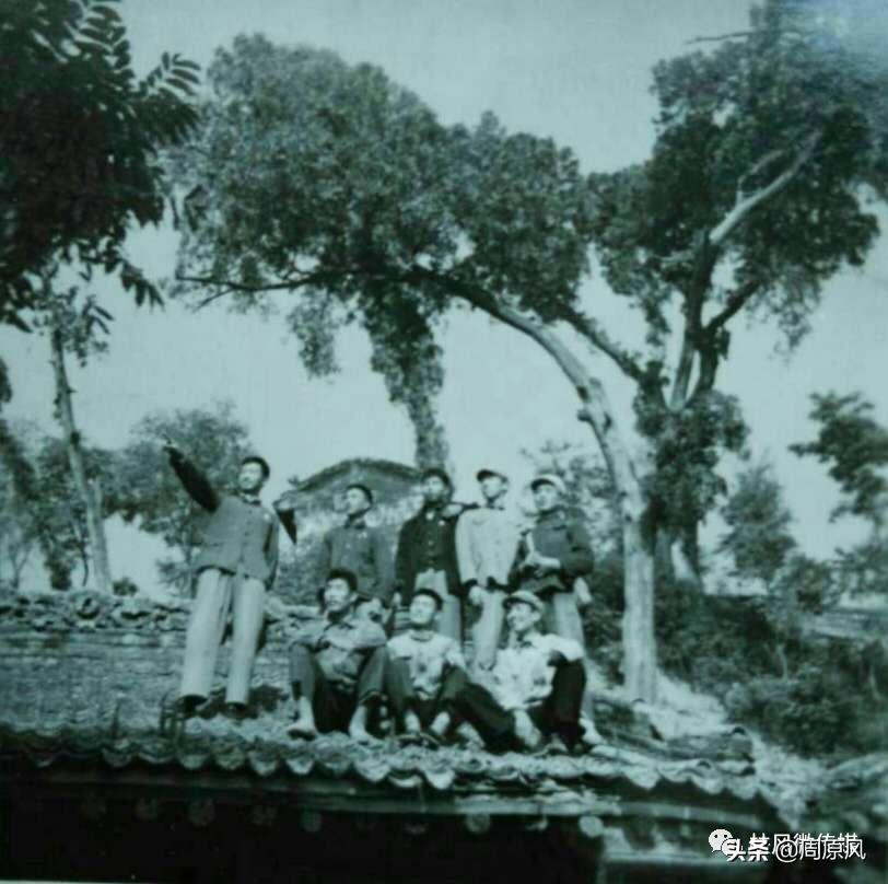 长寿梦,长寿梦完整版