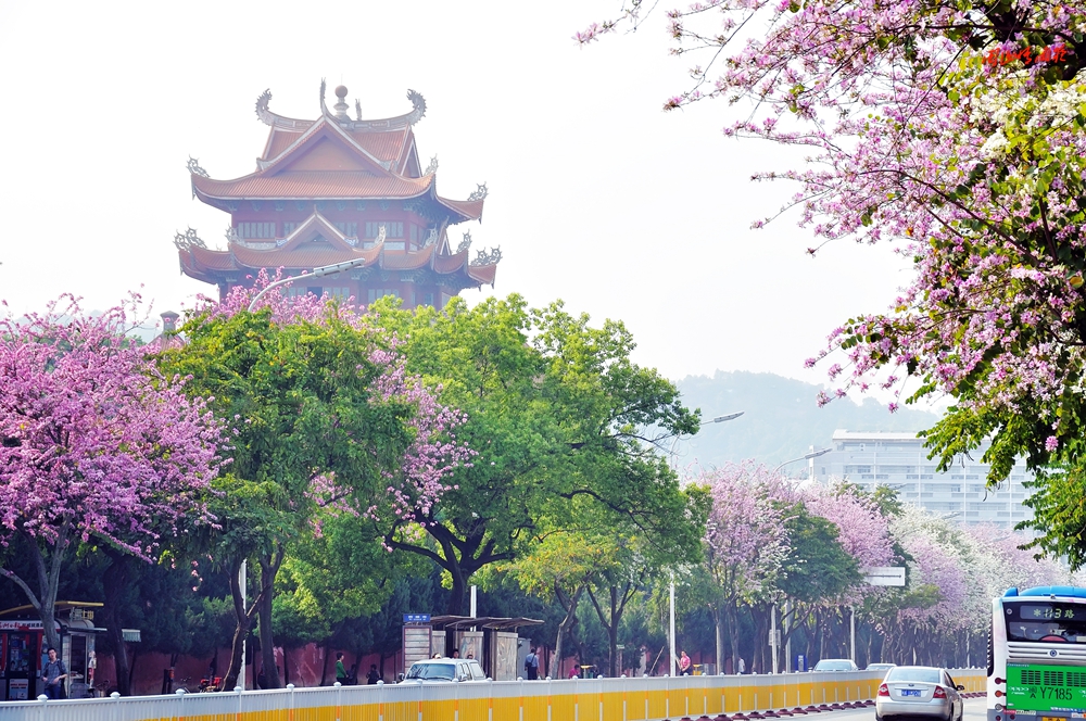 一春芳意，三月如风，日长风静，花影闲相照。