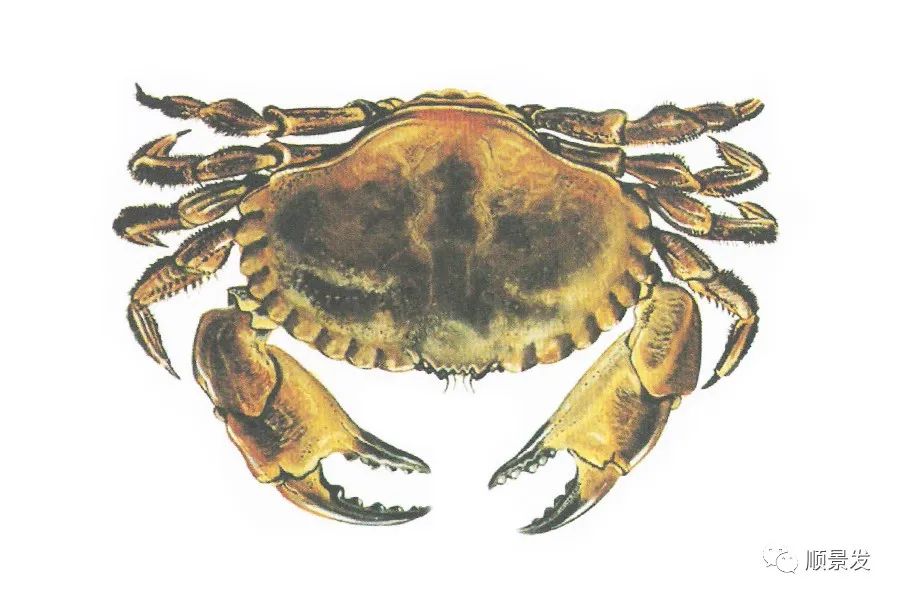 挪威和中国签订协议,挪威希望与中国加强合作