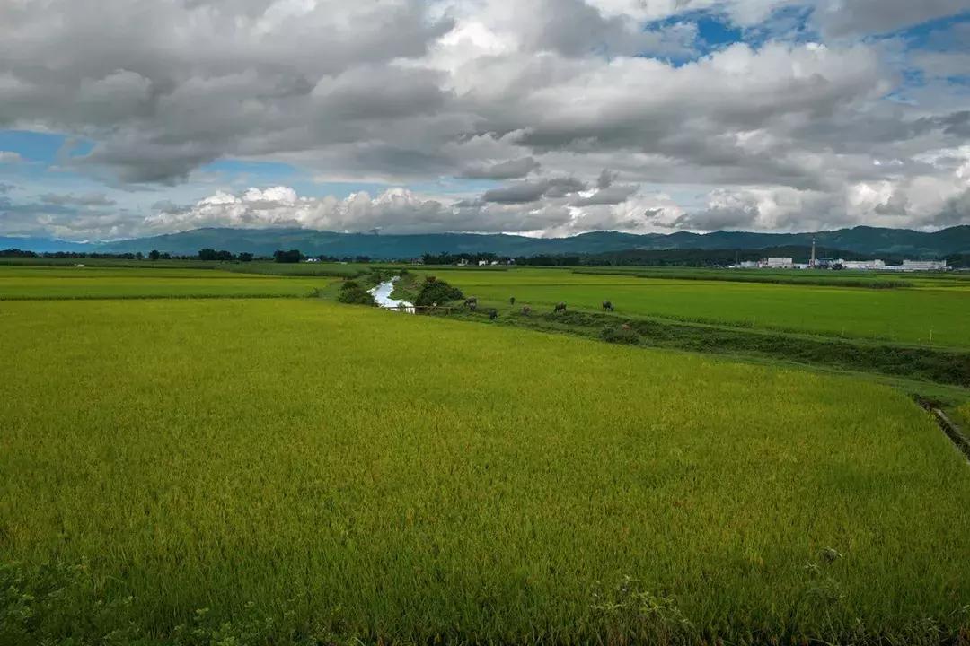 云南中越边境小城,云南新兴网红城市
