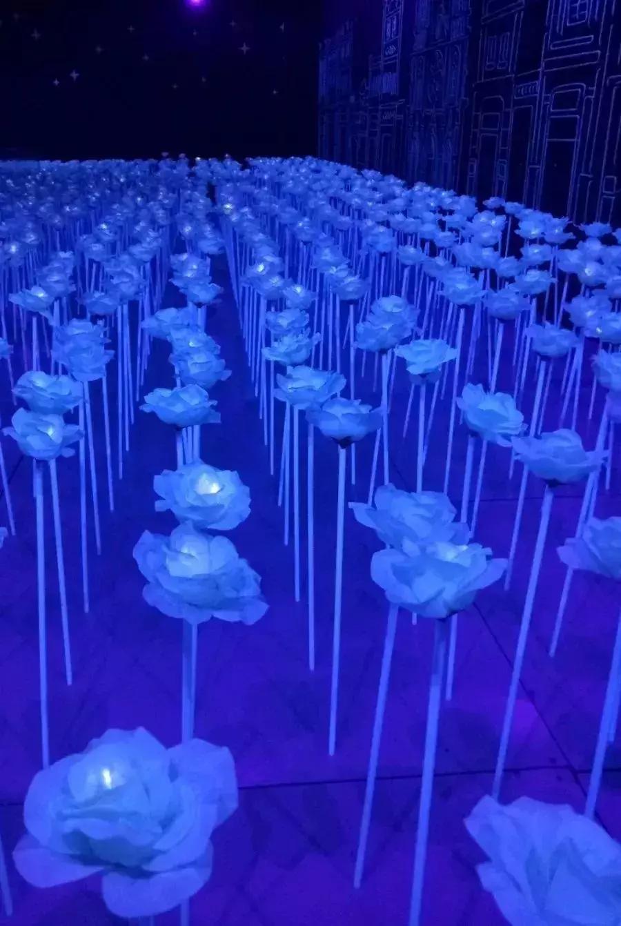 38女神节广州有哪些免费景点,38妇女节广州免票景点