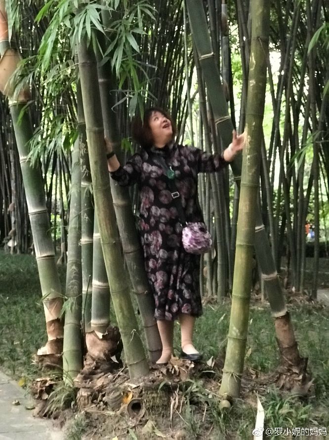 美颜相机可以美颜可是美不了现实,从不让人失望的美颜相机