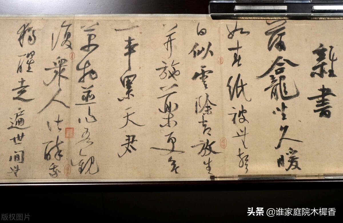 陆游写的诗五言绝句,陆游幽居译文