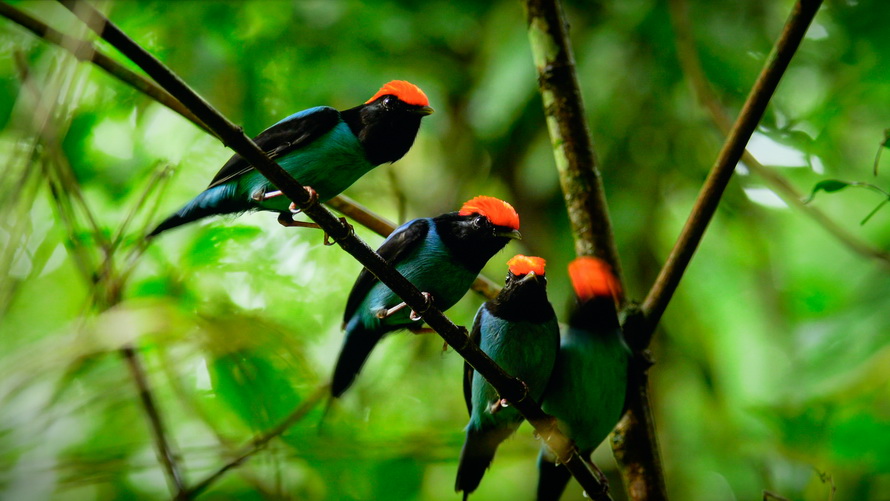 创维酷开p50遥控,创维酷开p50怎么外接音响