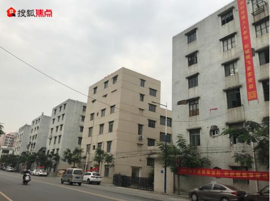 文冲渡头旧改,文冲旧改招标