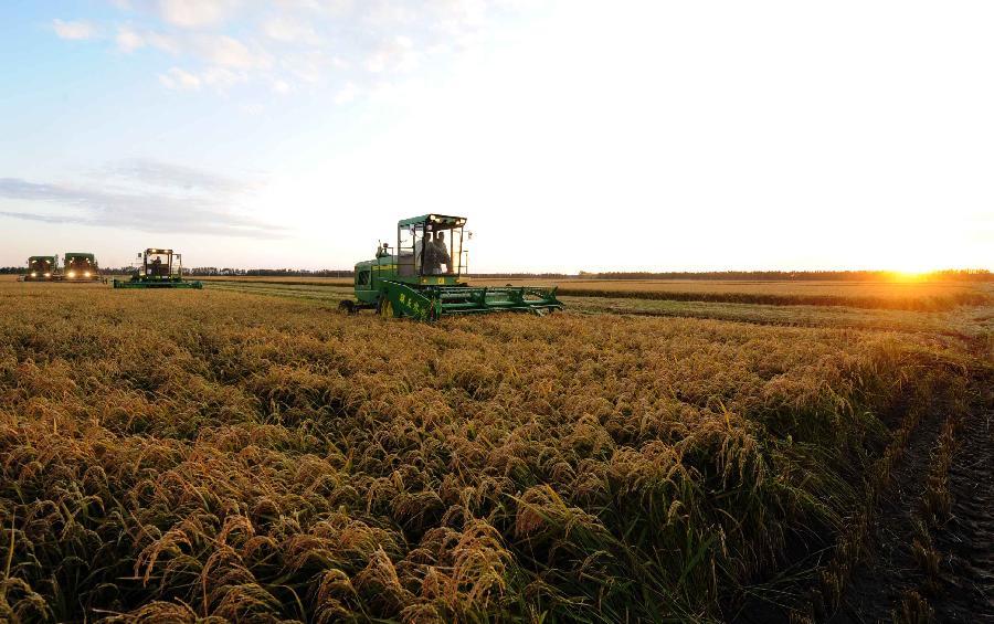 虎林市夜景照片,虎林印象