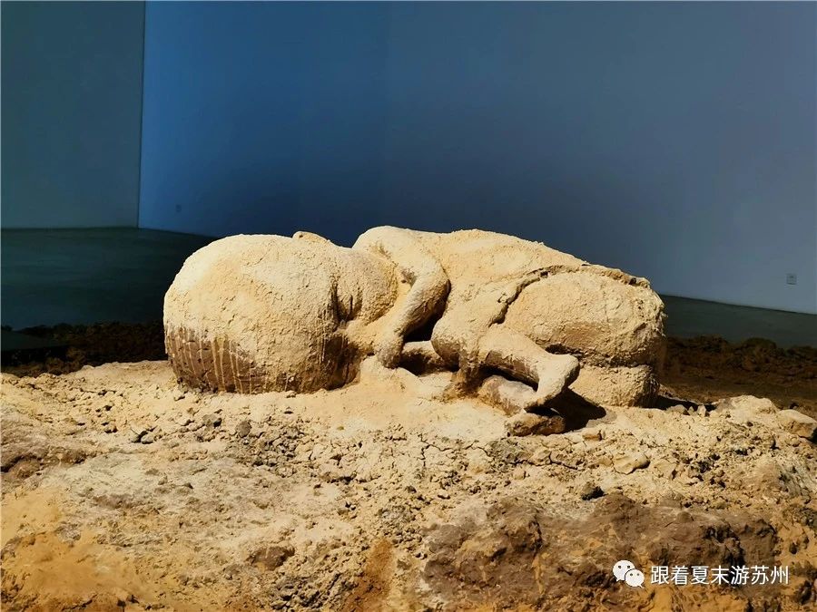 苏州本色美术馆预约,苏州本色美术馆近期展览