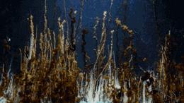 化学动态图解大全,37张化学动态图