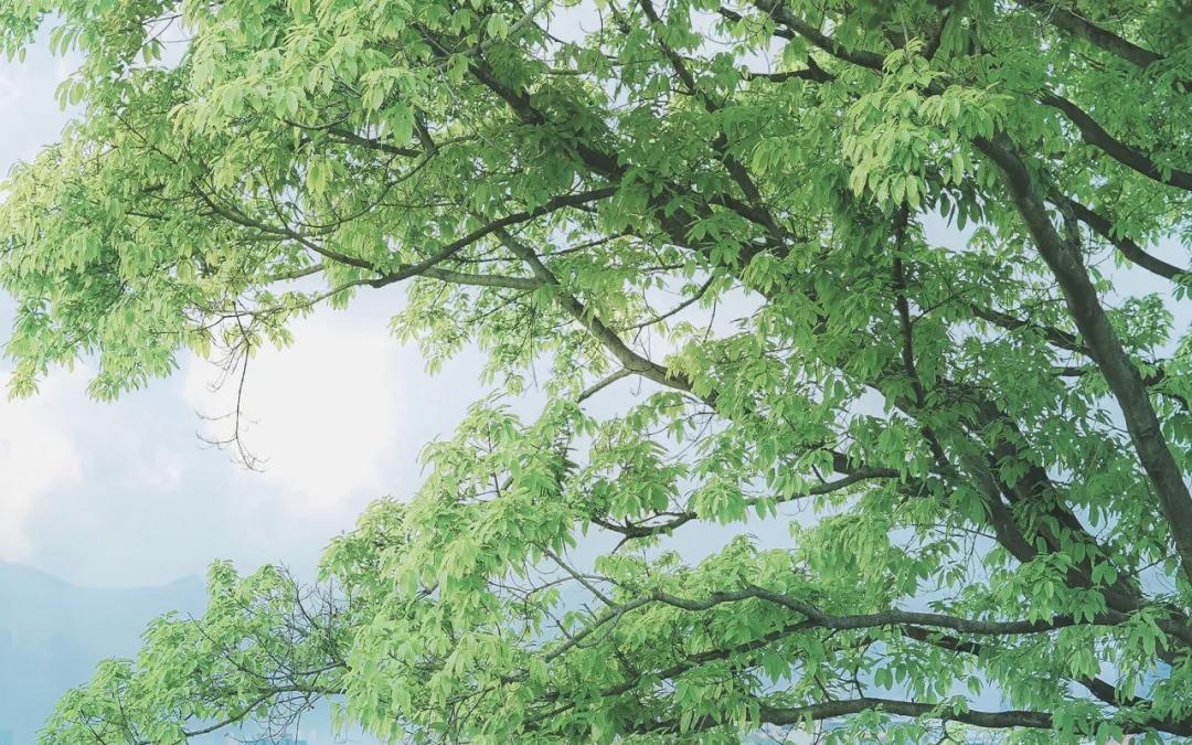 刁钻的问题和绝妙的回答值得一看,史上最刁钻的问题和最绝妙的回答