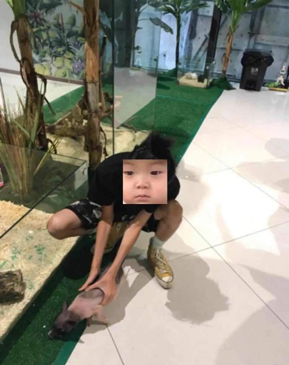 100个稀奇古怪的赚钱点子,最不可思议的搞钱方式