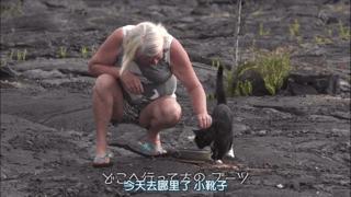 大家都在争抢猫爪杯？吸猫的最高境界，带着摄影机“猫步走天下”