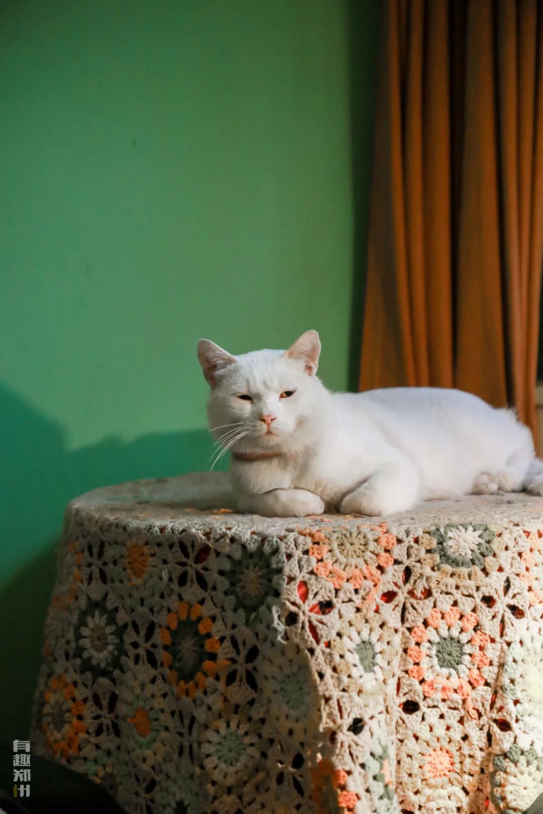 北街13号咖啡馆,隐藏在巷子里的一家复古咖啡店