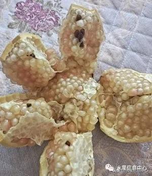 在网上买水果遇到假货怎么办,网上购买水果会被坑吗