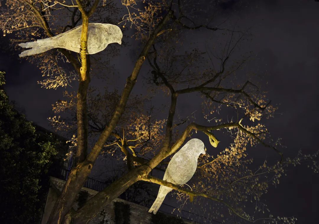 萌宠上阵，整个空间都奇趣了！