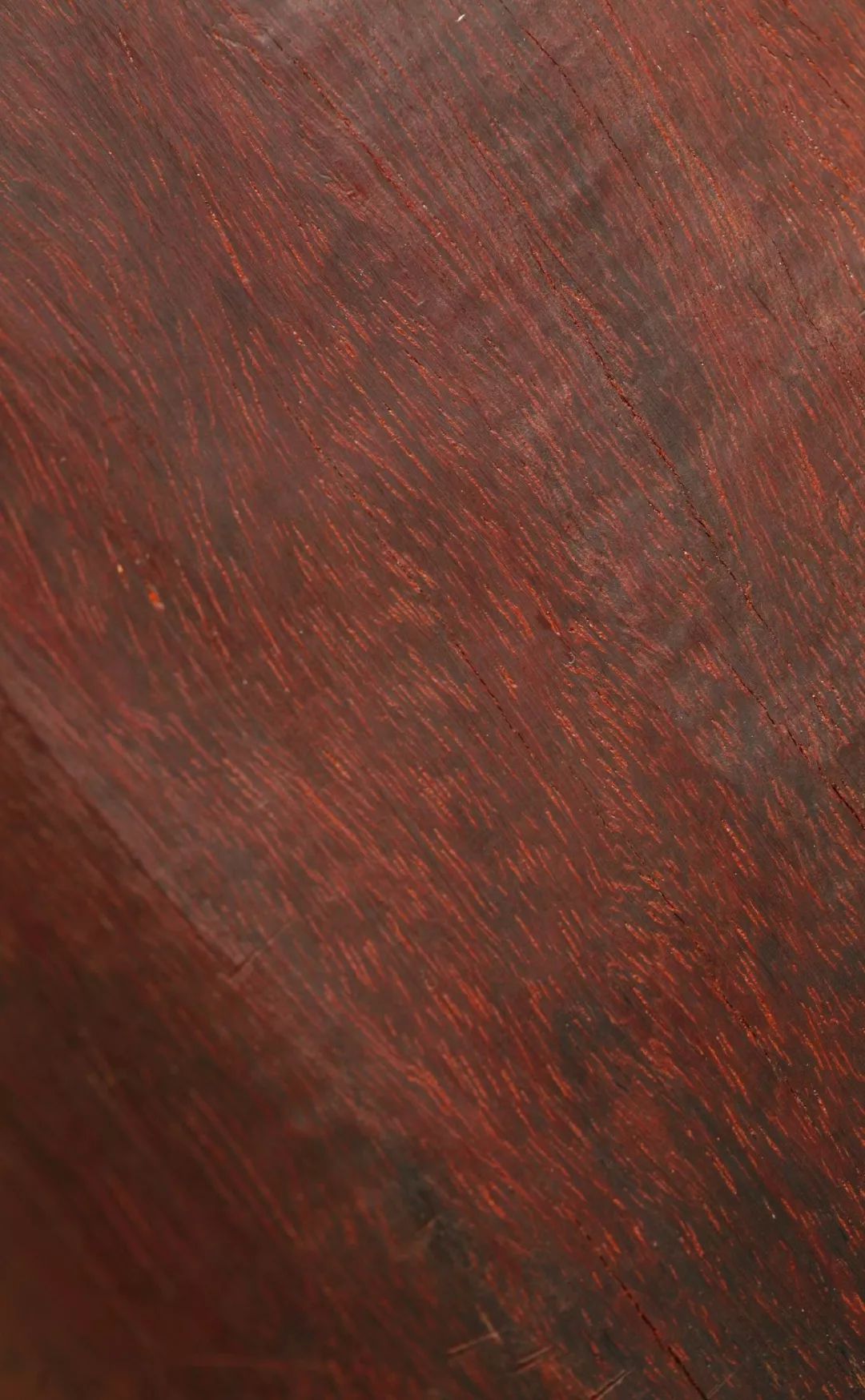 紫檀的真实身份,紫檀最后的样子