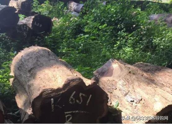 印尼黑酸枝红木家具价格表,红木家具黑酸枝简约风格