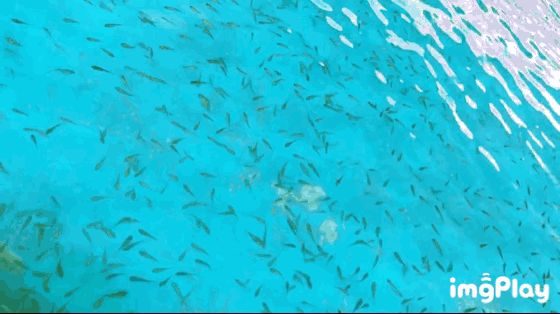 苏州乐园四季恒温温泉,苏州乐园四季恒温水乐园在哪里