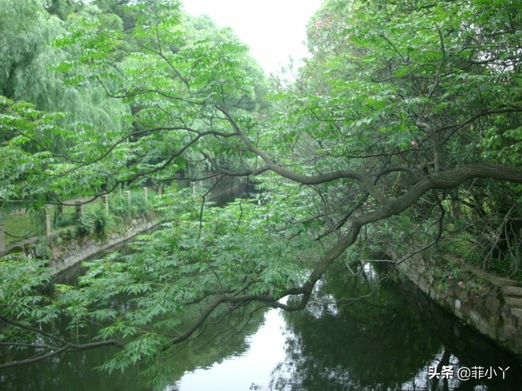 苏州东山，水孕天赐