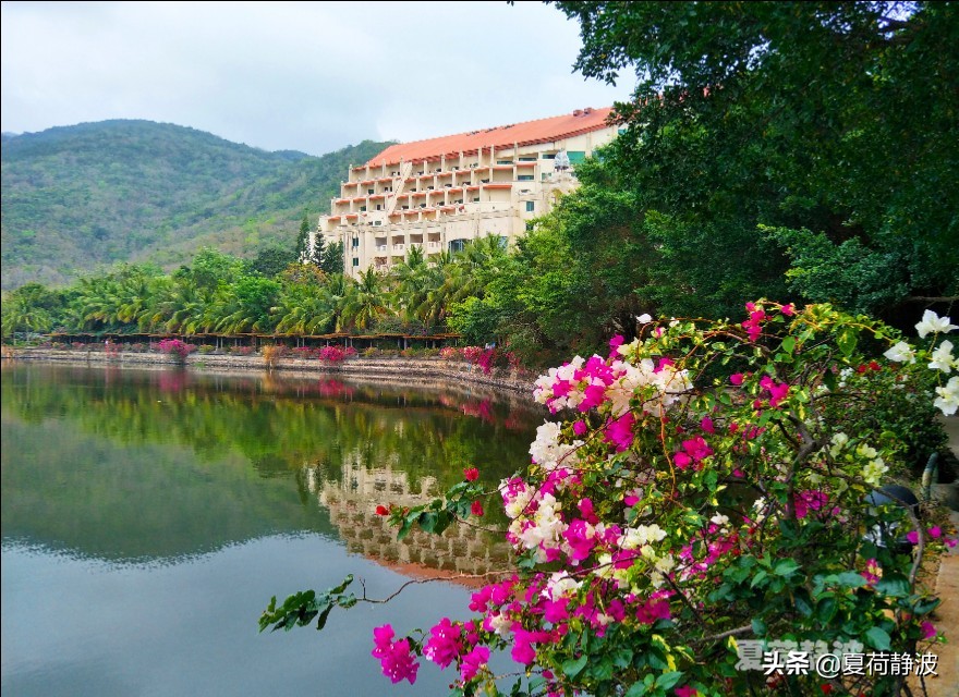 海南潜水旅游攻略一日游,海南亚龙湾游记