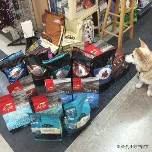 你们的狗狗吃什么狗粮,你们家狗吃什么狗粮