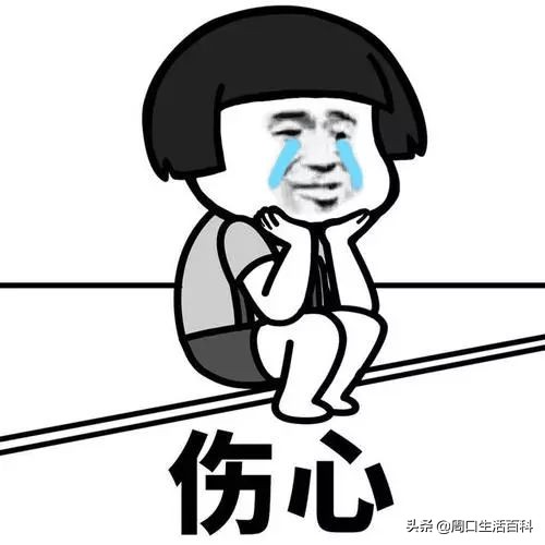 周口高铁票怎么买,周口高铁全部站点