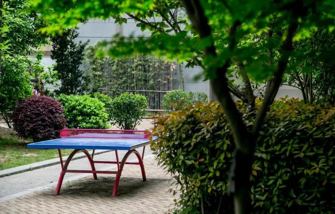 南京这所小学“弯道超车”，做了什么？