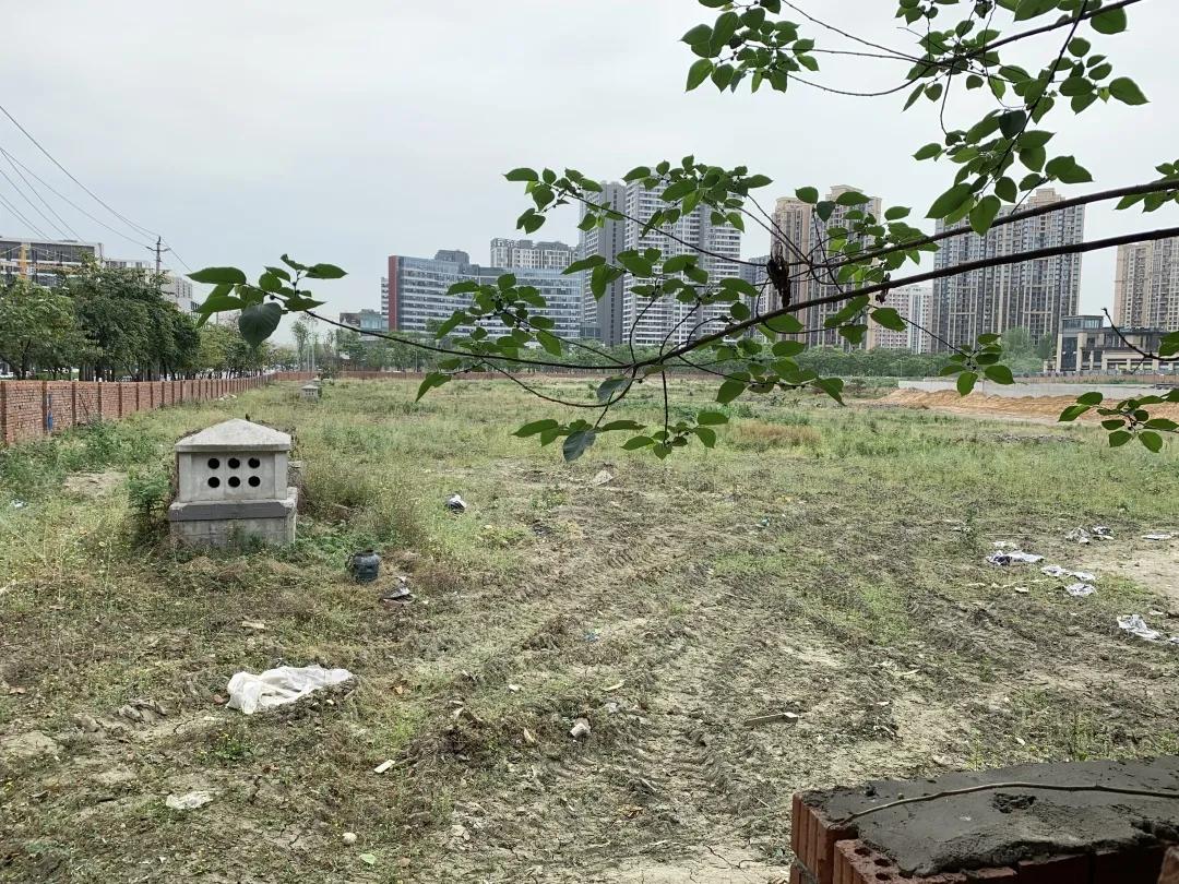 成都高新南区大源西土地拍卖,成都高新区大源天府五街土地拍卖